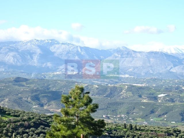 Οικόπεδο 801 τ.μ. προς πώληση, Βασιλείες