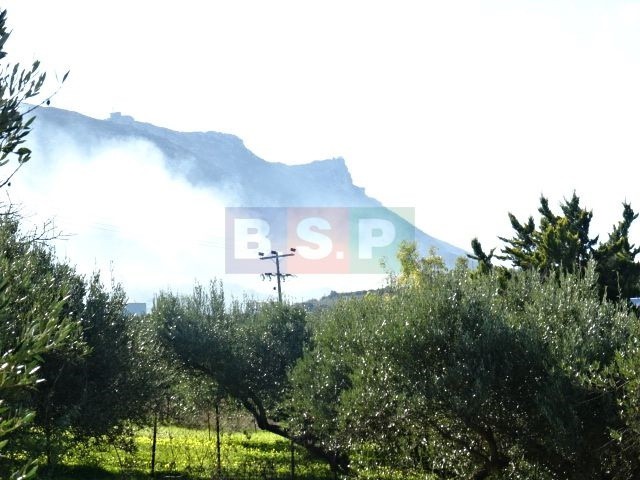 Οικόπεδο 801 τ.μ. προς πώληση, Βασιλείες