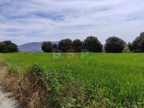 Land plot 4.100sqm for sale-Heraclion Cretes