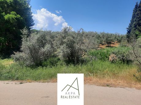 Parcel 4.000sqm for sale-Lamia