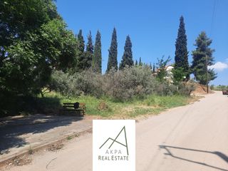Αγροτεμάχια 4.000 τ.μ. πρός πώληση, Φθιώτιδας, Λαμία-thumb-2