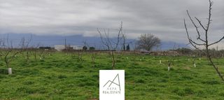 Αγροτεμάχια 12.208 τ.μ. προς πώληση, Φθιώτιδας, Λαμία-thumb-5