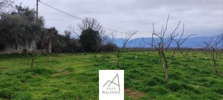 Αγροτεμάχια 12.208 τ.μ. προς πώληση, Φθιώτιδας, Λαμία-thumb-10