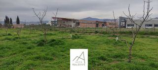 Αγροτεμάχια 12.208 τ.μ. προς πώληση, Φθιώτιδας, Λαμία-thumb-8