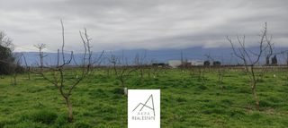 Αγροτεμάχια 12.208 τ.μ. προς πώληση, Φθιώτιδας, Λαμία-thumb-6