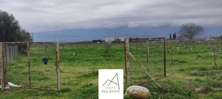 Αγροτεμάχια 12.208 τ.μ. προς πώληση, Φθιώτιδας, Λαμία-thumb-1