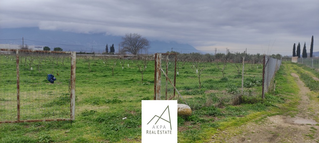 Αγροτεμάχια 12.208 τ.μ. προς πώληση, Φθιώτιδας, Λαμία