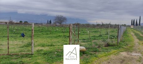 Parcel 12.208sqm for sale-Lamia