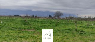 Αγροτεμάχια 12.208 τ.μ. προς πώληση, Φθιώτιδας, Λαμία-thumb-3