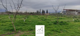 Αγροτεμάχια 12.208 τ.μ. προς πώληση, Φθιώτιδας, Λαμία-thumb-9