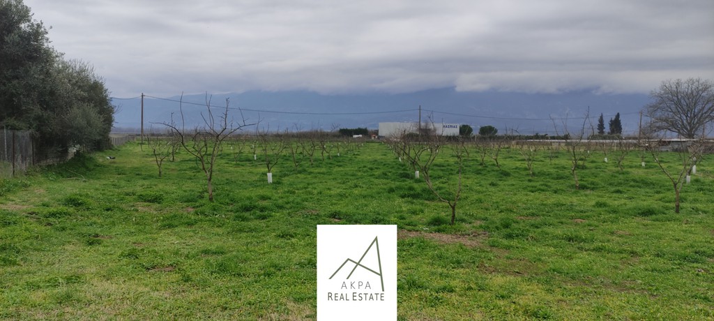 Αγροτεμάχια 12.208 τ.μ. προς πώληση, Φθιώτιδας, Λαμία