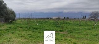 Αγροτεμάχια 12.208 τ.μ. προς πώληση, Φθιώτιδας, Λαμία-thumb-2