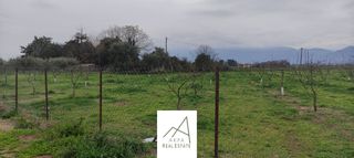 Αγροτεμάχια 12.208 τ.μ. προς πώληση, Φθιώτιδας, Λαμία-thumb-13