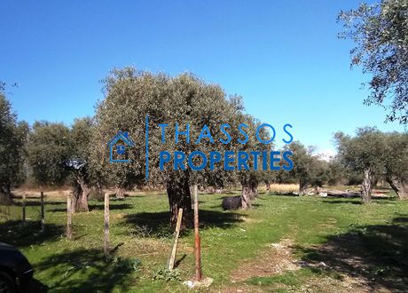 Αγροτεμάχια 5.275τ.μ. για πώληση-Θάσος