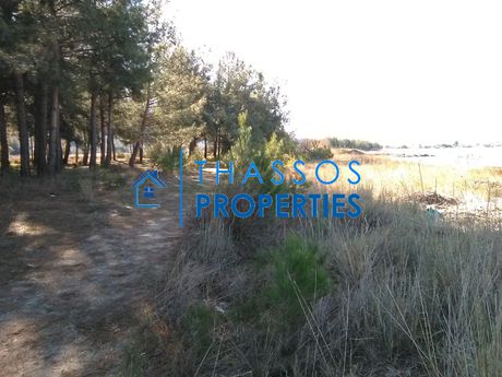 Αγροτεμάχια 5.419τ.μ. για πώληση-Θάσος