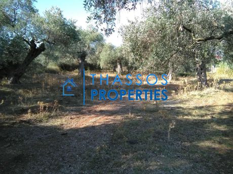 Αγροτεμάχια 1.080τ.μ. για πώληση-Θάσος