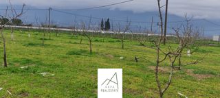 Αγροτεμάχια 7.500 τ.μ. για πώληση, Φθιώτιδας, Λαμία-thumb-14