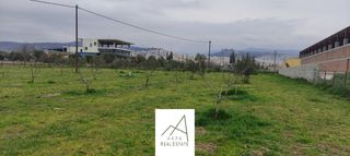 Αγροτεμάχια 7.500 τ.μ. για πώληση, Φθιώτιδας, Λαμία-thumb-4