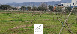 Αγροτεμάχια 7.500 τ.μ. για πώληση, Φθιώτιδας, Λαμία-thumb-12