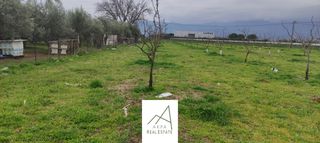 Αγροτεμάχια 7.500 τ.μ. για πώληση, Φθιώτιδας, Λαμία-thumb-7
