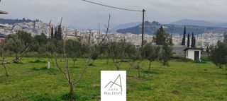 Αγροτεμάχια 7.500 τ.μ. για πώληση, Φθιώτιδας, Λαμία-thumb-10