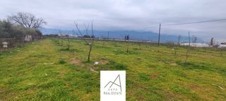 Αγροτεμάχια 7.500 τ.μ. για πώληση, Φθιώτιδας, Λαμία-thumb-17