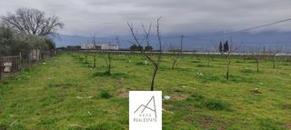 Αγροτεμάχια 7.500 τ.μ. για πώληση, Φθιώτιδας, Λαμία-thumb-1