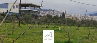 Αγροτεμάχια 7.500 τ.μ. για πώληση, Φθιώτιδας, Λαμία-thumb-11