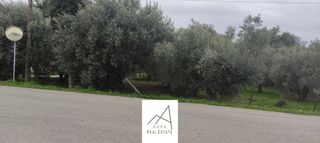 Αγροτεμάχια 1.438 τ.μ. πρός πώληση, Φθιώτιδας, Λαμία-thumb-8