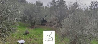 Αγροτεμάχια 1.438 τ.μ. πρός πώληση, Φθιώτιδας, Λαμία-thumb-12