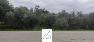 Αγροτεμάχια 1.438 τ.μ. πρός πώληση, Φθιώτιδας, Λαμία-thumb-6