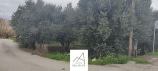Αγροτεμάχια 1.438 τ.μ. πρός πώληση, Φθιώτιδας, Λαμία-thumb-14