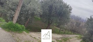 Αγροτεμάχια 1.438 τ.μ. πρός πώληση, Φθιώτιδας, Λαμία-thumb-10