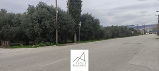 Αγροτεμάχια 1.438 τ.μ. πρός πώληση, Φθιώτιδας, Λαμία-thumb-1