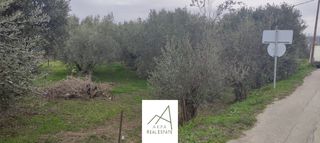 Αγροτεμάχια 1.438 τ.μ. πρός πώληση, Φθιώτιδας, Λαμία-thumb-11