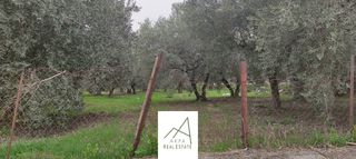 Αγροτεμάχια 1.438 τ.μ. πρός πώληση, Φθιώτιδας, Λαμία-thumb-4