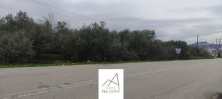 Αγροτεμάχια 1.438 τ.μ. πρός πώληση, Φθιώτιδας, Λαμία-thumb-5