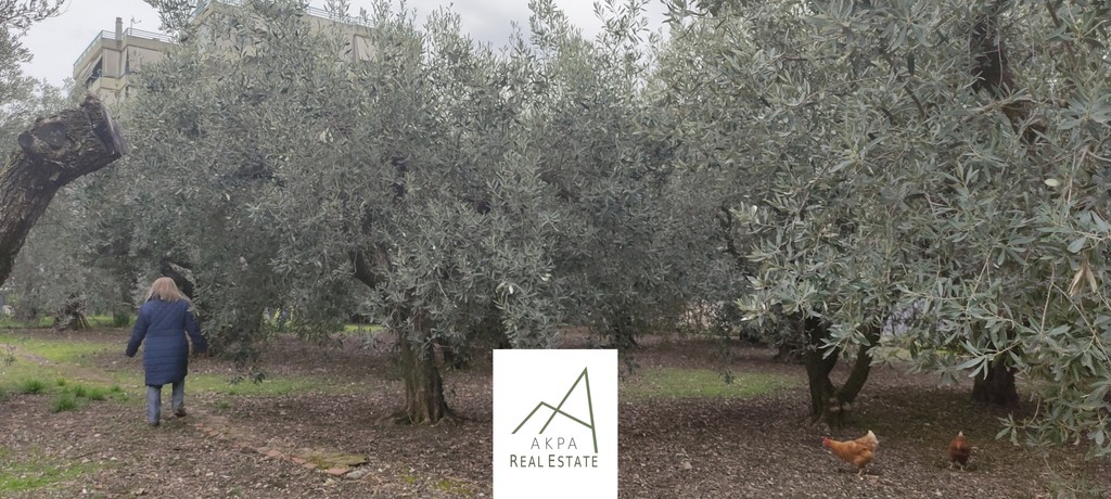 Οικόπεδο 645 τ.μ. προς πώληση, Αγία Παρασκευή Λαμίας
