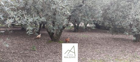 Land plot 645sqm for sale-Lamia
