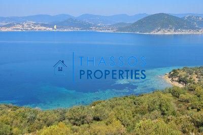 Αγροτεμάχια 32.000τ.μ. για πώληση-Ελευθερές