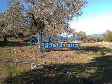 Αγροτεμάχια 37.500τ.μ. για πώληση-Θάσος