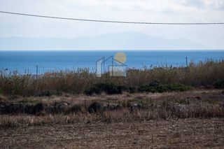 Αγροτεμάχια 15.743 τ.μ. για πώληση, Κυκλάδες, Πάρος-thumb-26