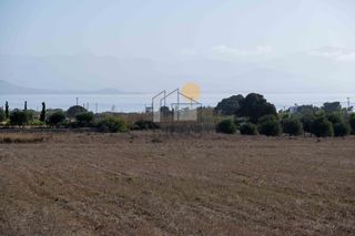 Αγροτεμάχια 11.907 τ.μ. για πώληση, Κυκλάδες, Πάρος-thumb-11