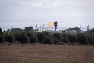 Αγροτεμάχια 11.907 τ.μ. για πώληση, Κυκλάδες, Πάρος-thumb-16