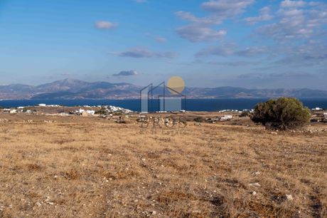 Αγροτεμάχια 8.247 τ.μ. πρός πώληση