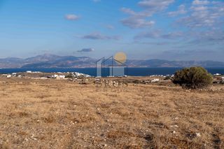 Αγροτεμάχια 8.247 τ.μ. για πώληση