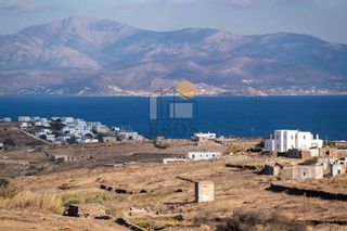 Αγροτεμάχια 5.728 τ.μ. για πώληση