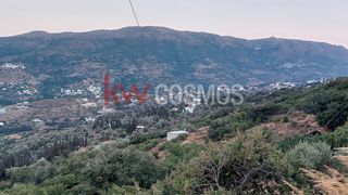 Οικόπεδο 2.460 τ.μ. για πώληση, Κυκλάδες, Άνδρος-thumb-6
