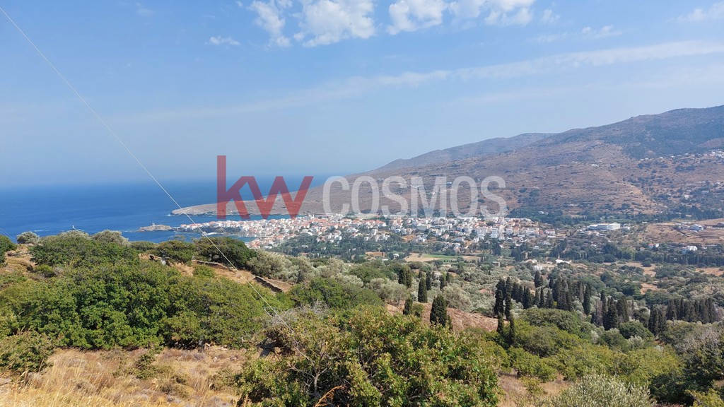 Οικόπεδο 2.460 τ.μ. προς πώληση, Άνδρος