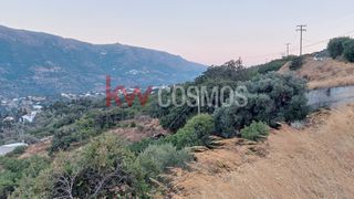 Οικόπεδο 2.460 τ.μ. για πώληση, Κυκλάδες, Άνδρος-thumb-8